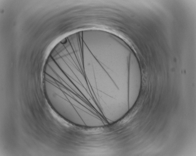 X0000078271535200611251341