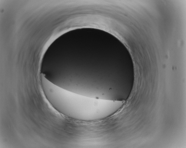 X0000078271536200611251341