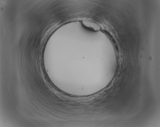 X0000078270001200612011731