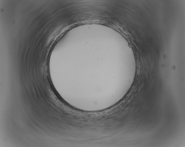 X0000078270002200612011731