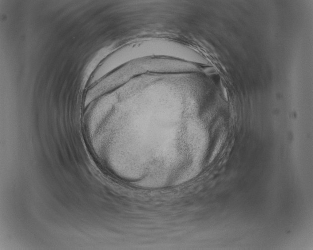 X0000078270003200612011731