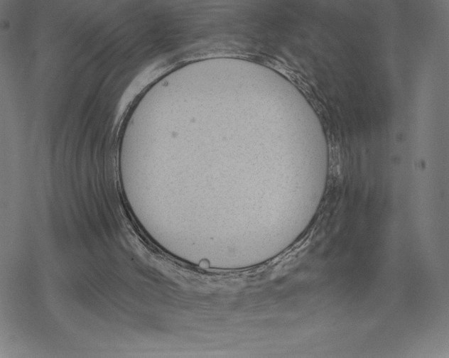 X0000078270004200612011731