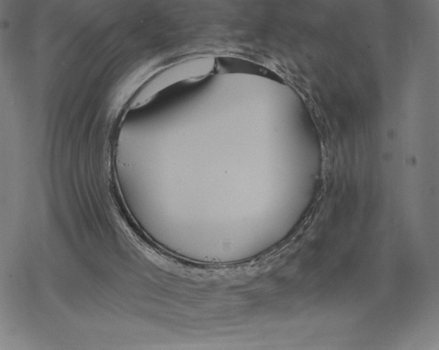 X0000078270005200612011731