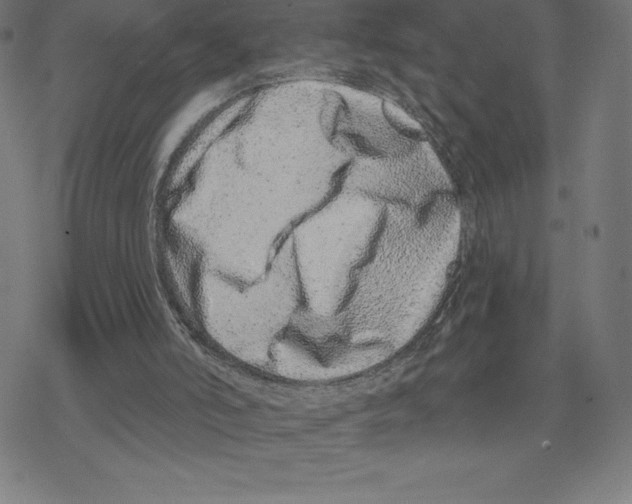 X0000078270006200612011731