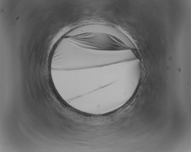 X0000078270008200612011731