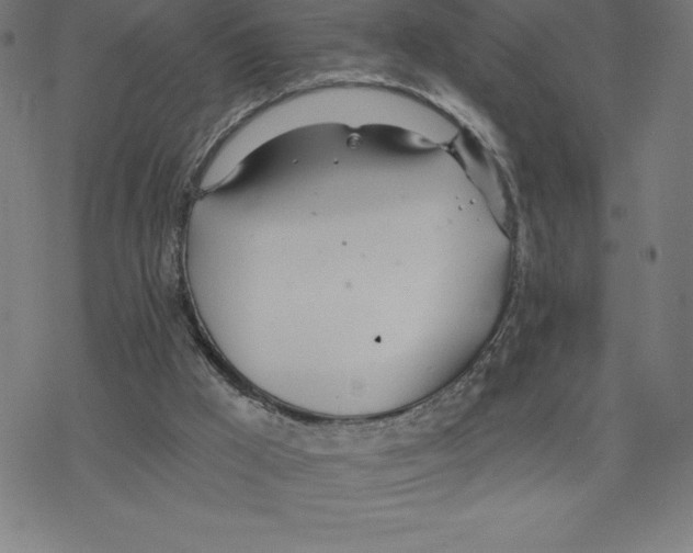 X0000078270009200612011731