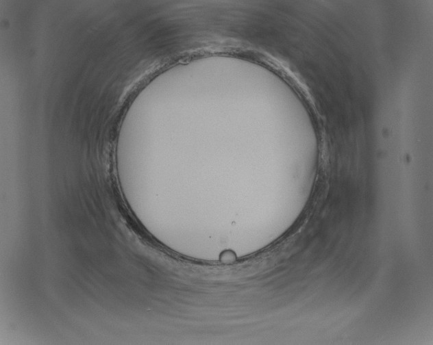 X0000078270010200612011731