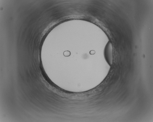 X0000078270011200612011731