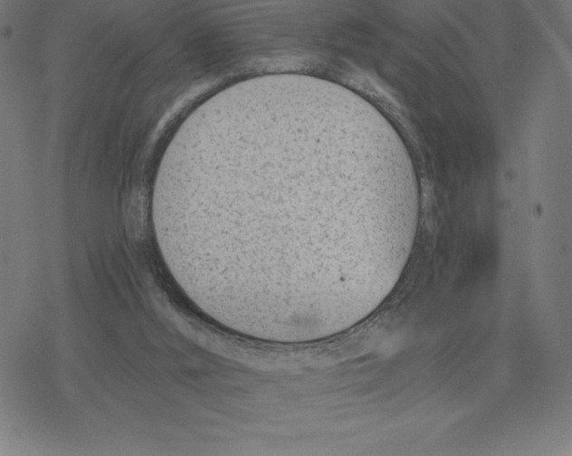 X0000078270012200612011731