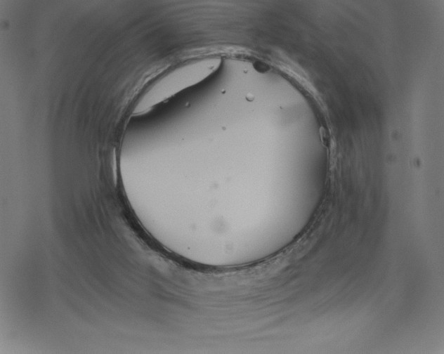 X0000078270013200612011731