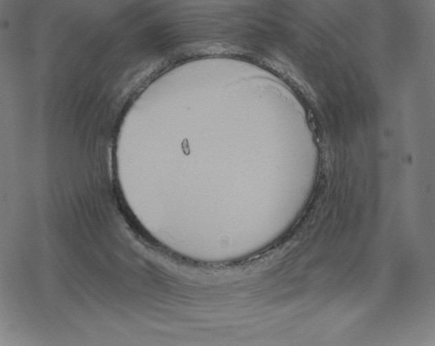 X0000078270014200612011731