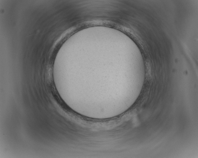 X0000078270016200612011731