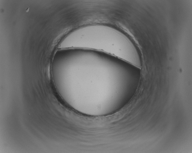 X0000078270019200612011731