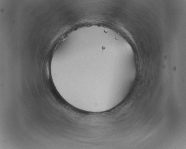 X0000078270020200612011731