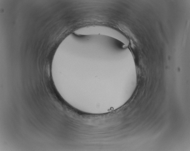 X0000078270021200612011730