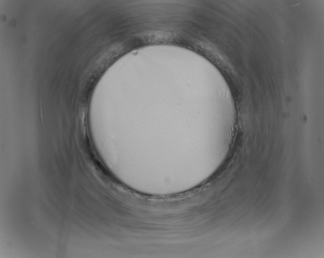 X0000078270022200612011730