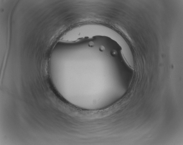 X0000078270023200612011730