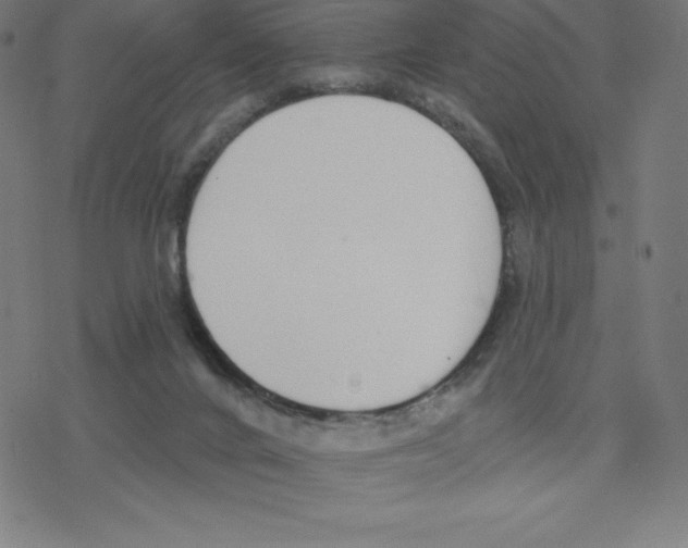 X0000078270024200612011730