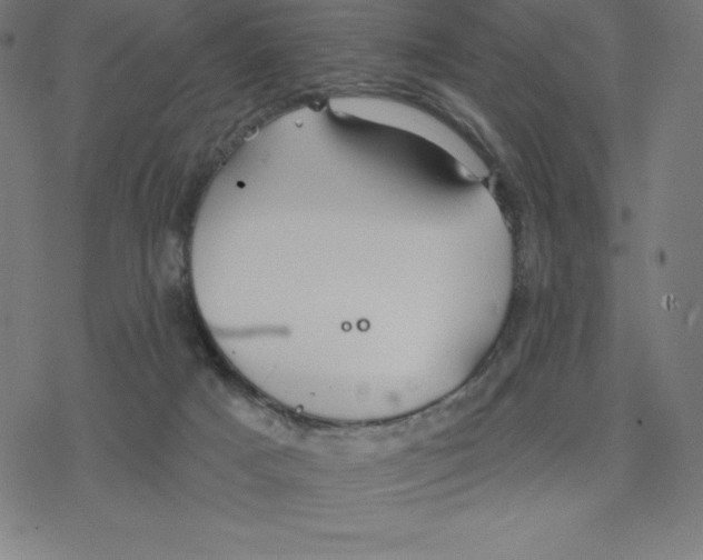 X0000078270025200612011730