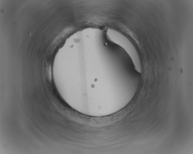 X0000078270027200612011730