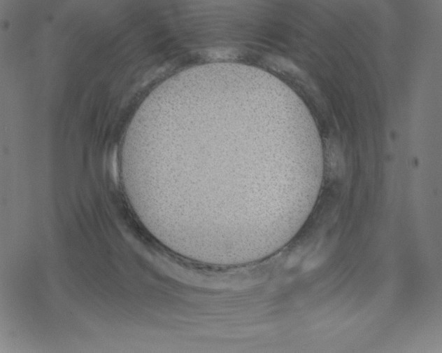 X0000078270028200612011730