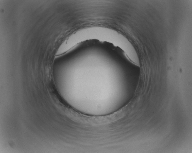 X0000078270031200612011730