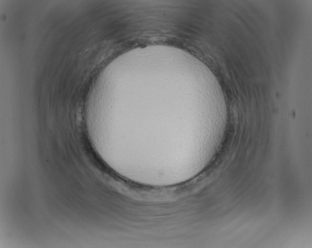 X0000078270032200612011730