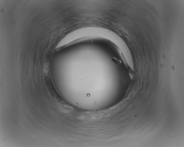 X0000078270033200612011730