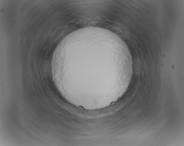 X0000078270034200612011730