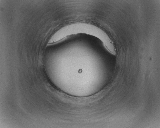 X0000078270035200612011730