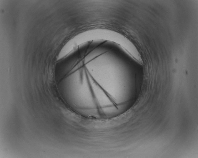 X0000078270037200612011730