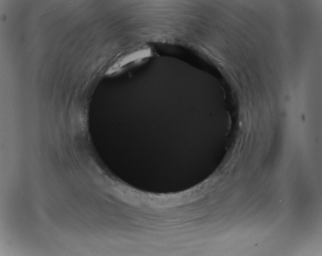 X0000078270039200612011730