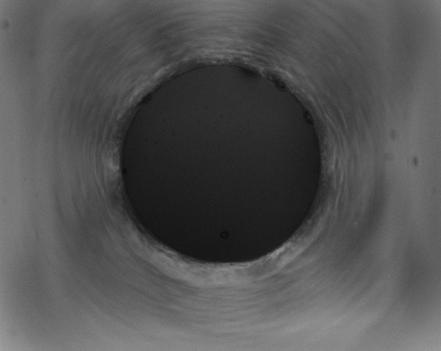 X0000078270040200612011730