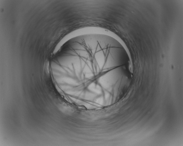 X0000078270041200612011730