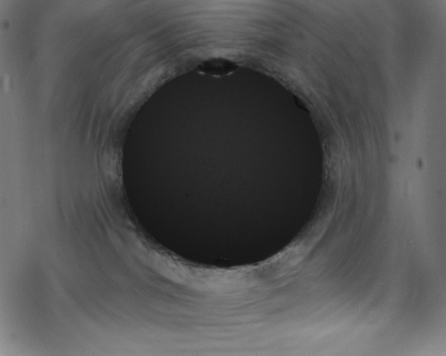 X0000078270044200612011730