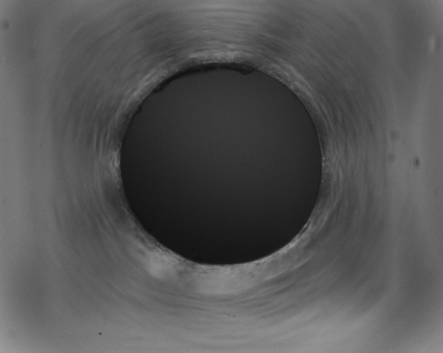 X0000078270045200612011730