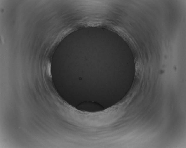 X0000078270046200612011730