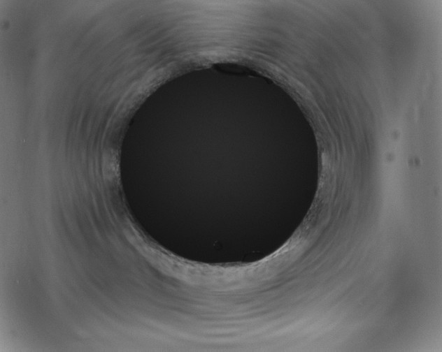 X0000078270048200612011730