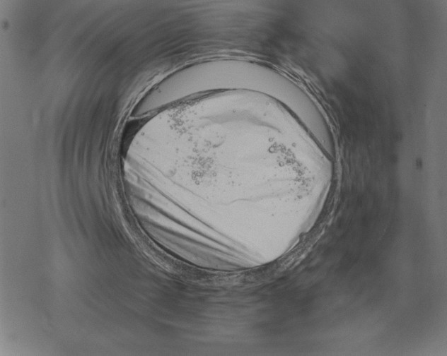 X0000078270049200612011729