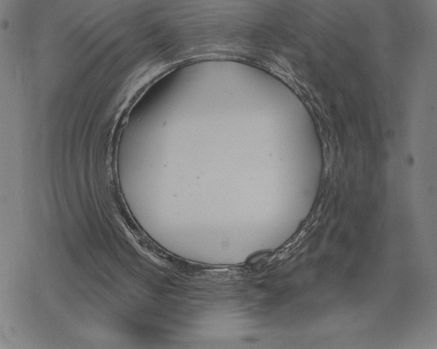 X0000078270050200612011729