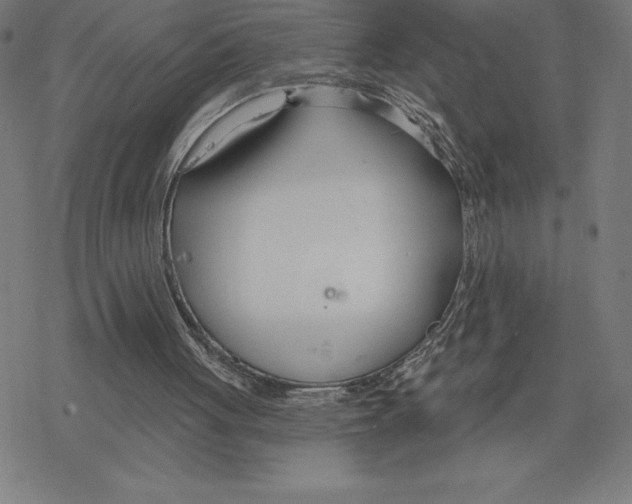 X0000078270051200612011729