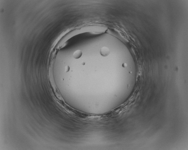 X0000078270052200612011729