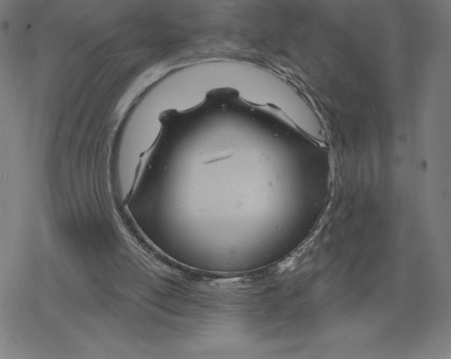 X0000078270054200612011729