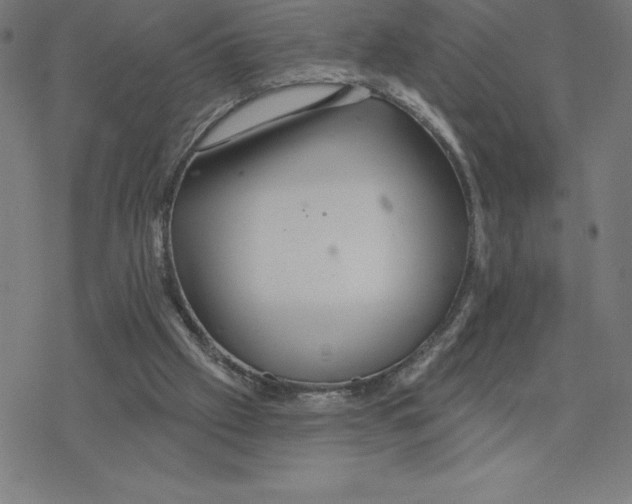 X0000078270057200612011729