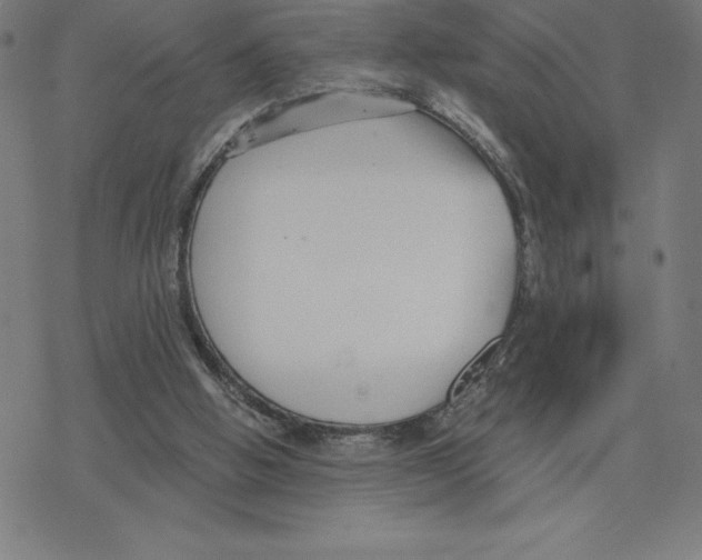 X0000078270058200612011729