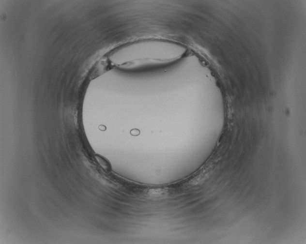 X0000078270060200612011729