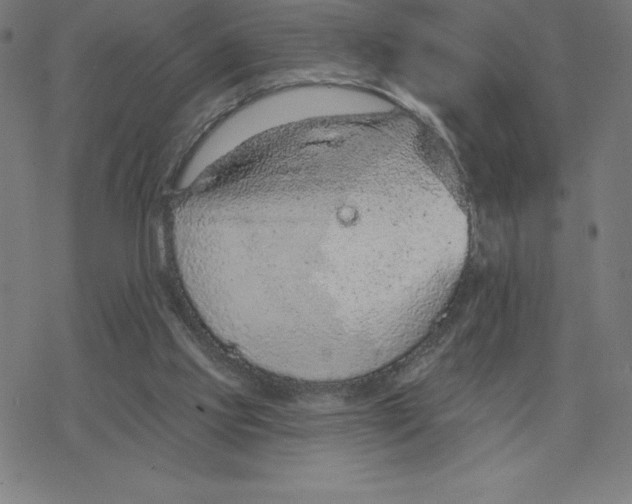 X0000078270061200612011729