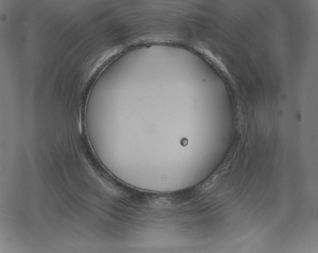 X0000078270062200612011729