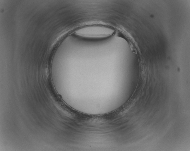 X0000078270063200612011730