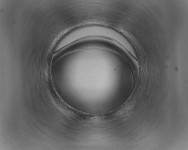 X0000078270064200612011730